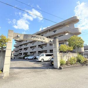 アヴァンセ・M