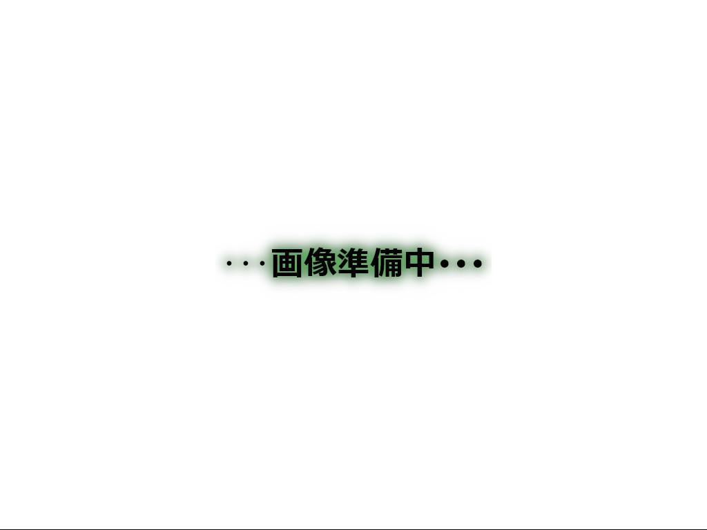 テラスソレイユ亀有(ワンルーム/3階)