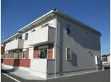 マードレC