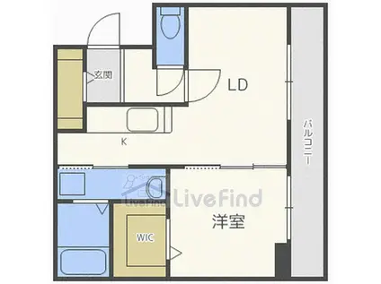 カレラ福住2ND(1LDK/3階)の間取り写真