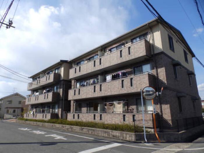 グレイス スクエア新涯 5 C棟