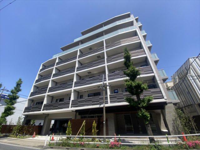 レスピール蓮根