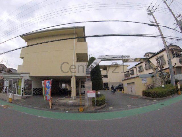 センチュリーショウエイⅢ