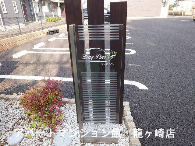 ロングパイン