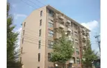 エルフィン井上