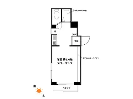 ブラッサム(ワンルーム/1階)の間取り写真