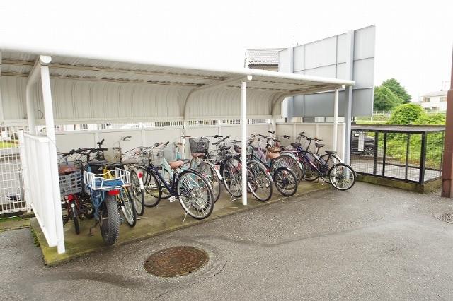 ドミール河原