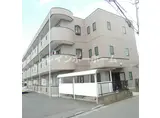 サングレース