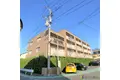 ニューライフ88