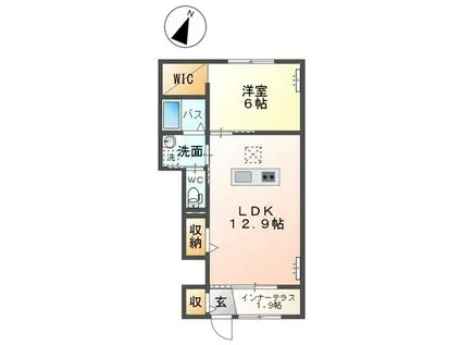 シャローム(1LDK/1階)の間取り写真