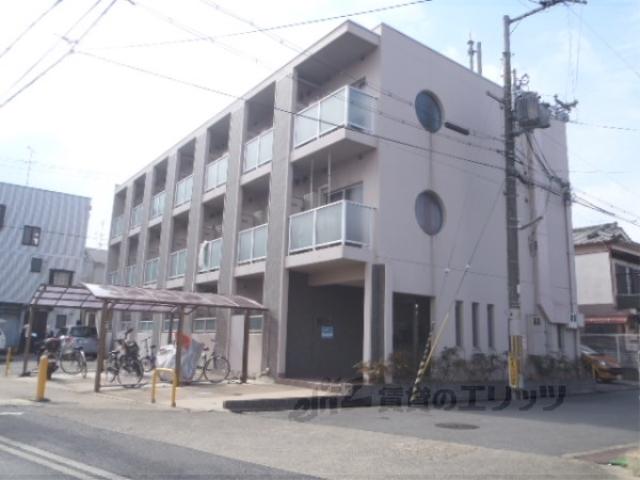 エクセレント秋桜