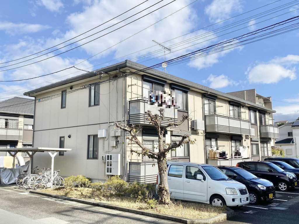 カメリアC