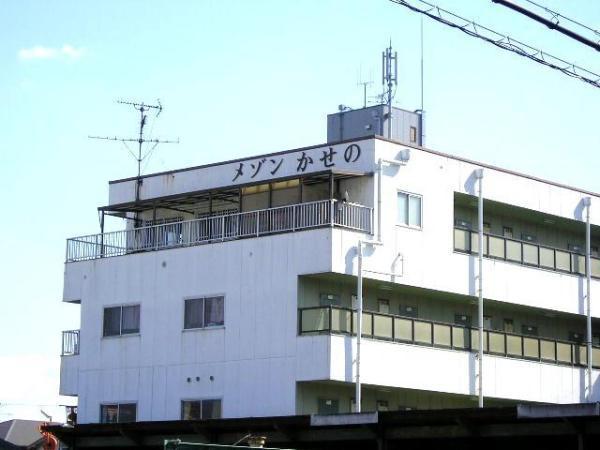 めぞんかせの