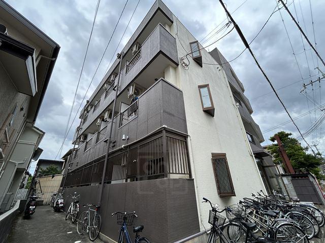 フルブルーム