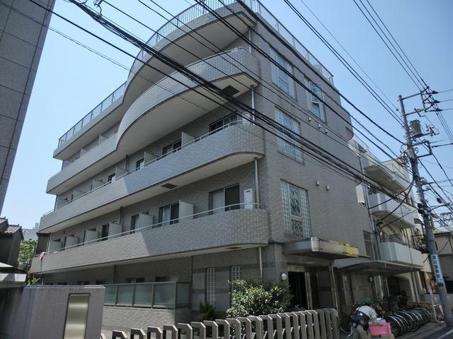 Tハルジオン