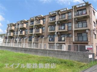 ジュネス白国
