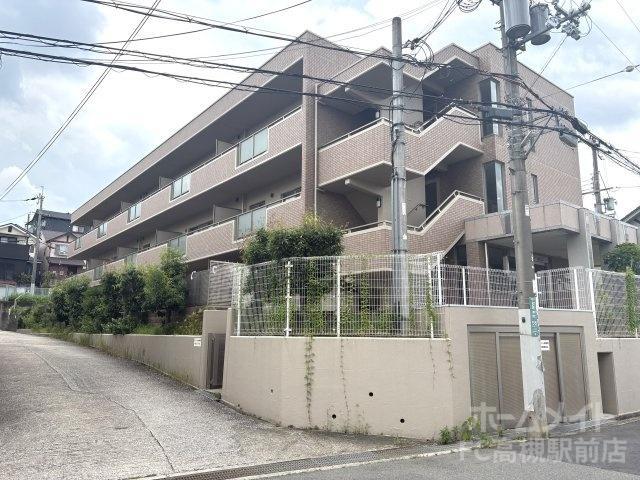 ソシアグレース