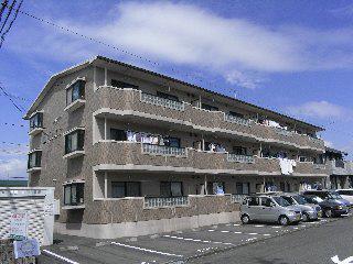 グレイス岩崎(2LDK/3階)