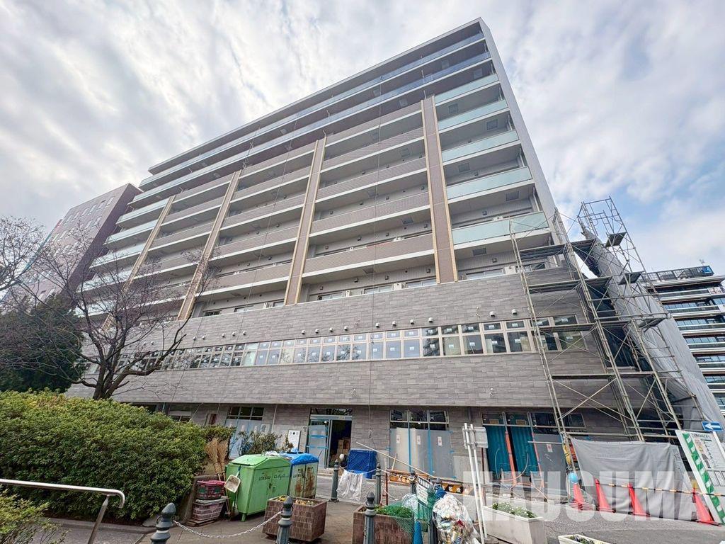 ステラテラス
