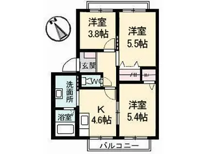 ブライトンハイツ(3K/1階)の間取り写真