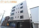 エヴァーグリーン本千葉