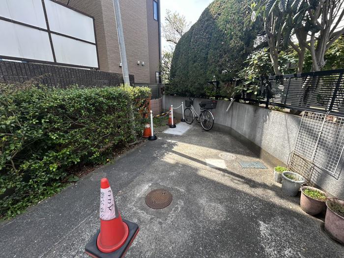 ドミール・パイン