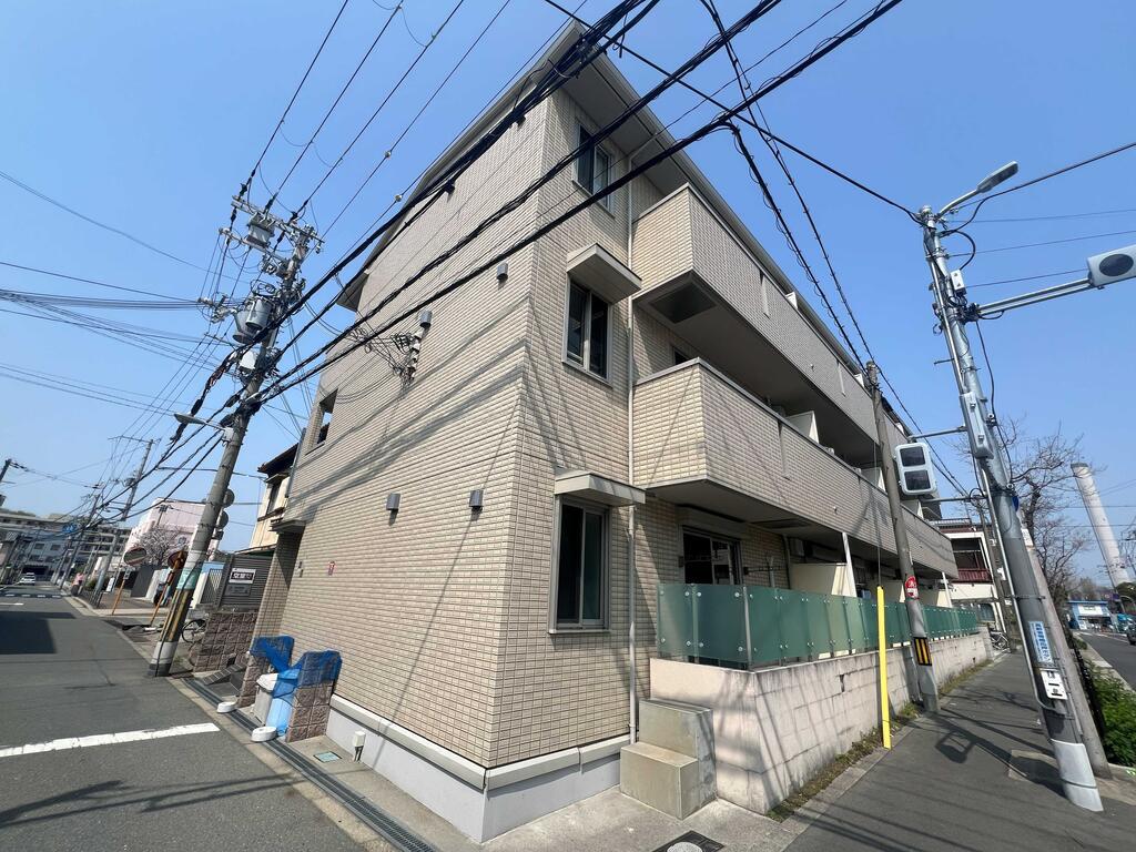 ハナミズキ