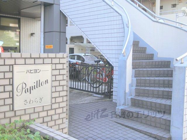 パピヨンさわらぎ