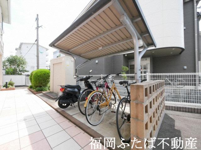 彩雲III 