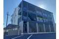 M.コンテチェスト