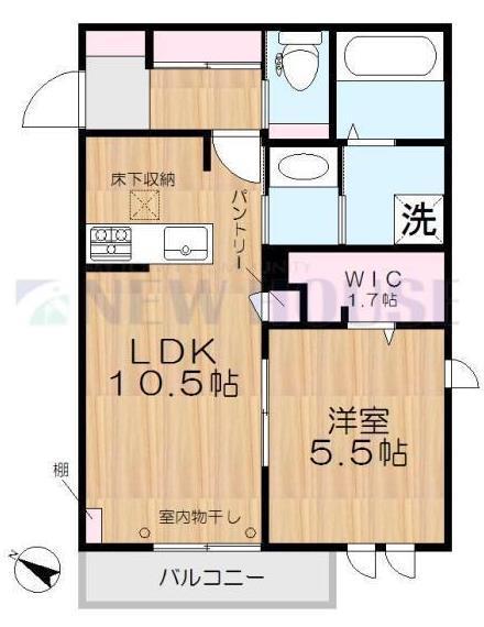プレジール神楽坂(1LDK/1階)の間取り写真