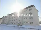 テレパレス元町17条I