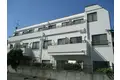 パインハイツ