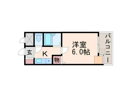 メゾン大和5号館(1K/5階)の間取り写真