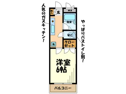 コーポ田中(1K/2階)の間取り写真