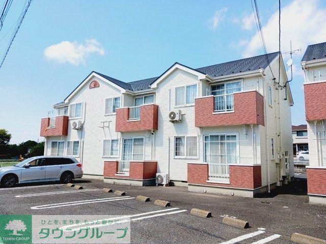 ステラキッズB