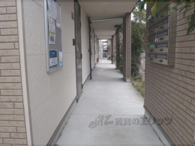 セディア千尋