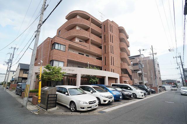 エクセル清涼