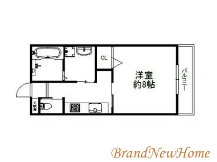 ロイヤルコート津久野(1K/1階)の間取り写真