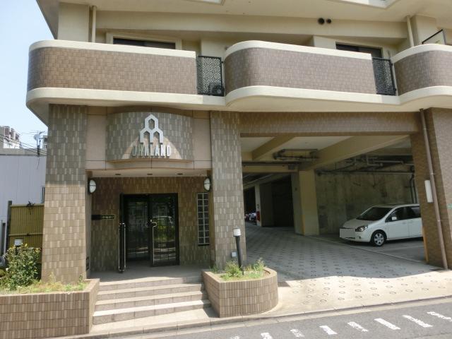 オークランド 桜通
