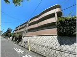 エヴァーグリーン岡本