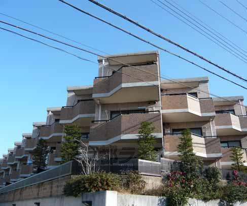 GRAN PINO伏見桃山