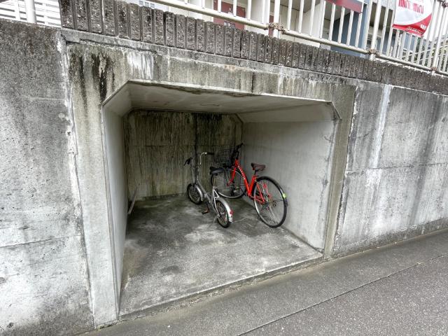 やまぼうし