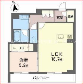 TS スクエアII(1LDK/1階)の間取り写真