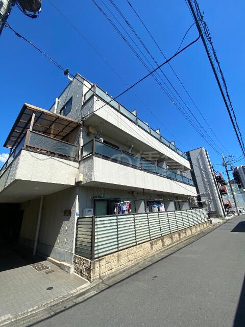 コートルミナス