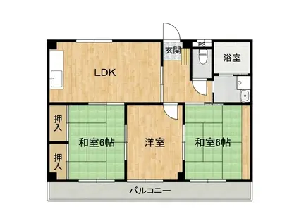 サンルーム石川(3LDK/4階)の間取り写真