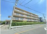 ピュアルIII