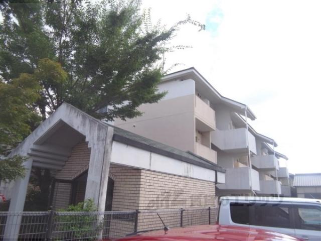 ドルミ高矢