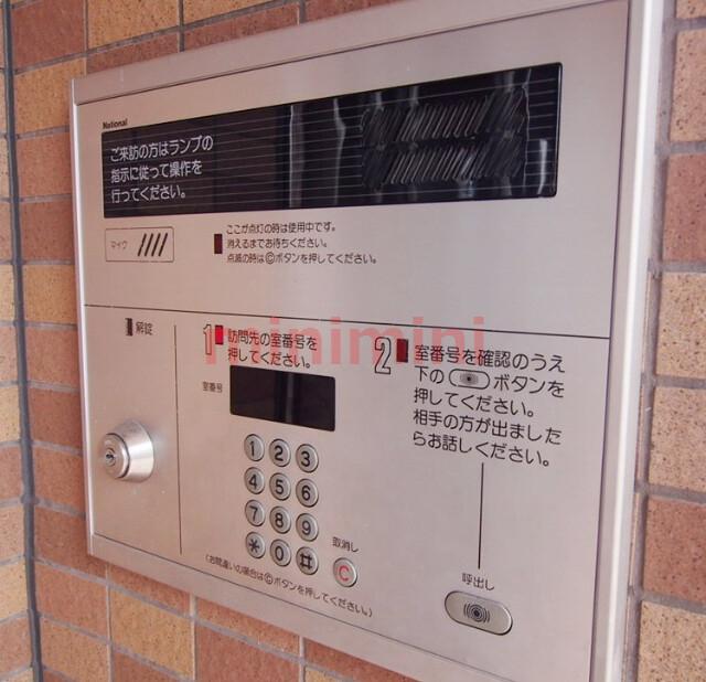 アムールカセイ