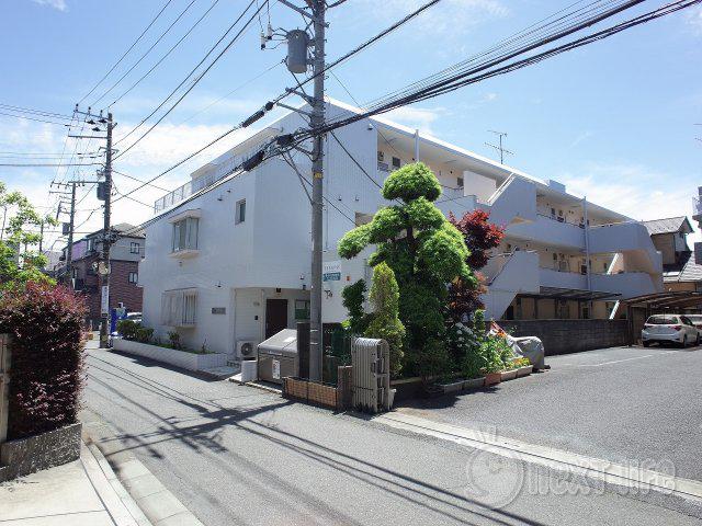 ワイエスセブンハイム